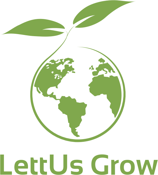 lettusgrow